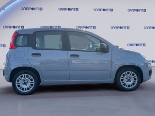 FIAT Panda 1.0 firefly hybrid city life s&s 70cv 5
