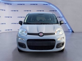 FIAT Panda 1.0 firefly hybrid city life s&s 70cv 7
