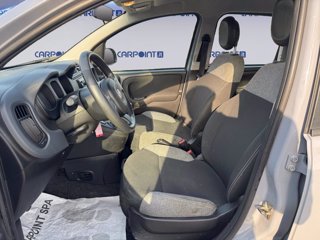 FIAT Panda 1.0 firefly hybrid city life s&s 70cv 8
