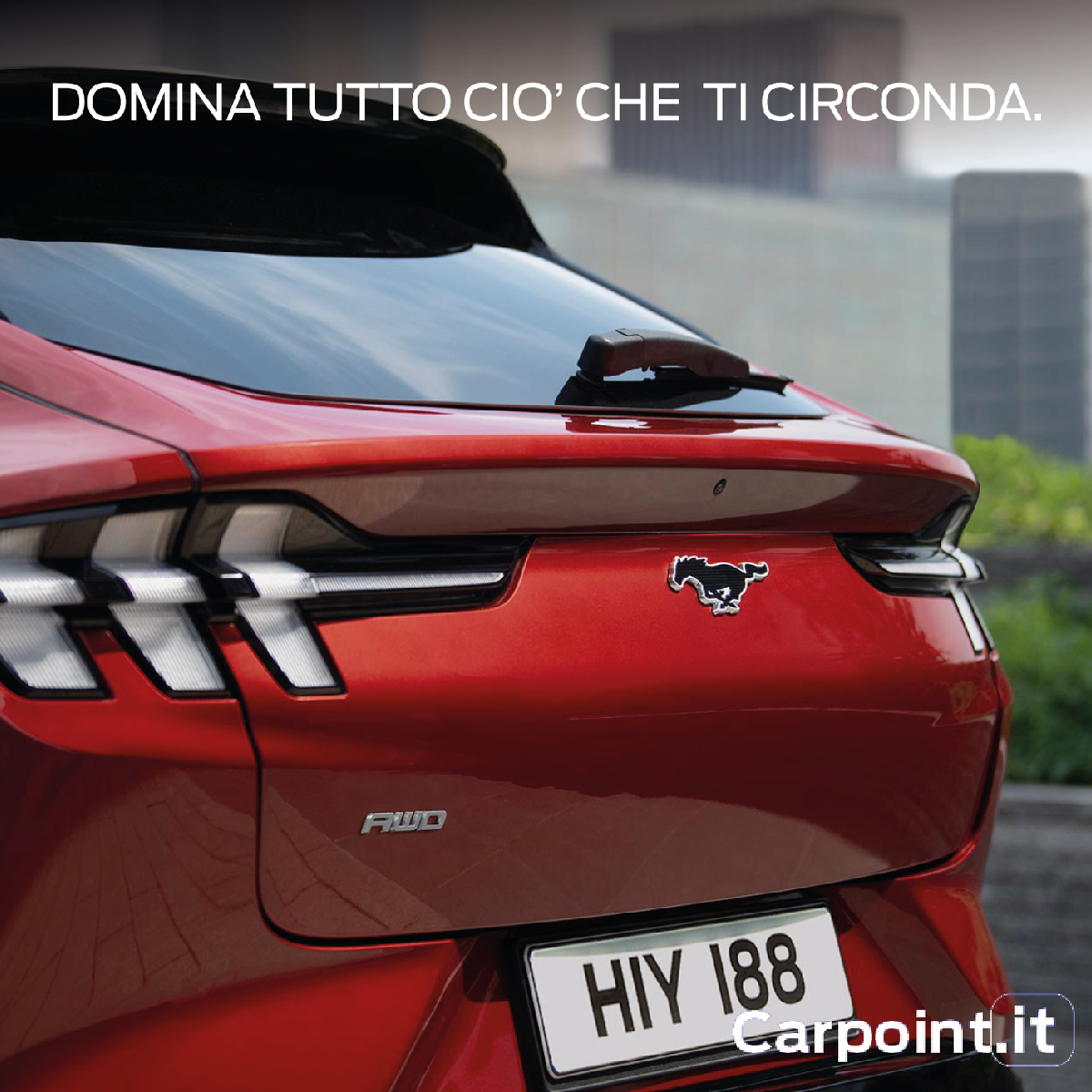 Domina Logo Tavola Disegno 1