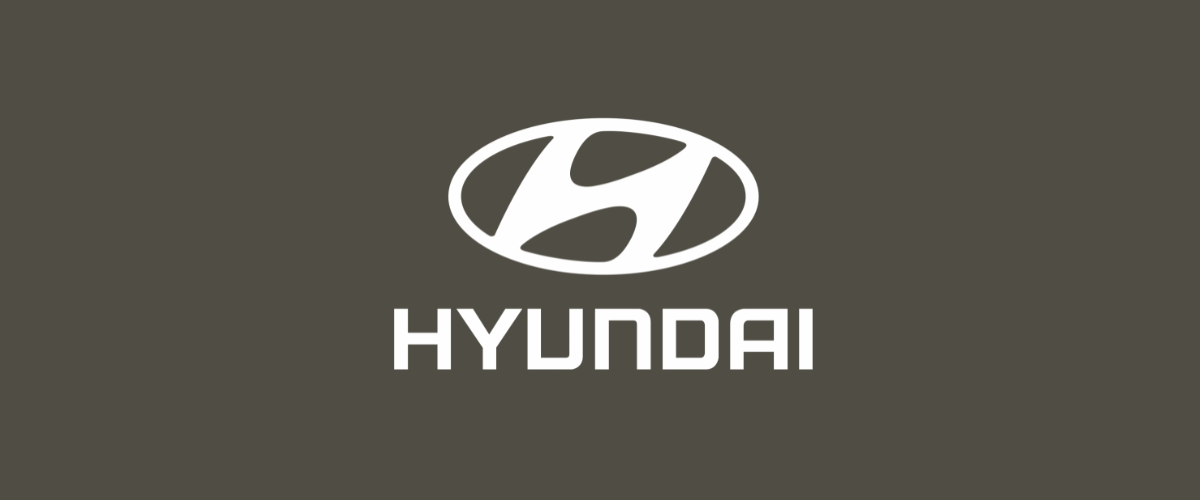 service Hyundai carpint via pontina 347