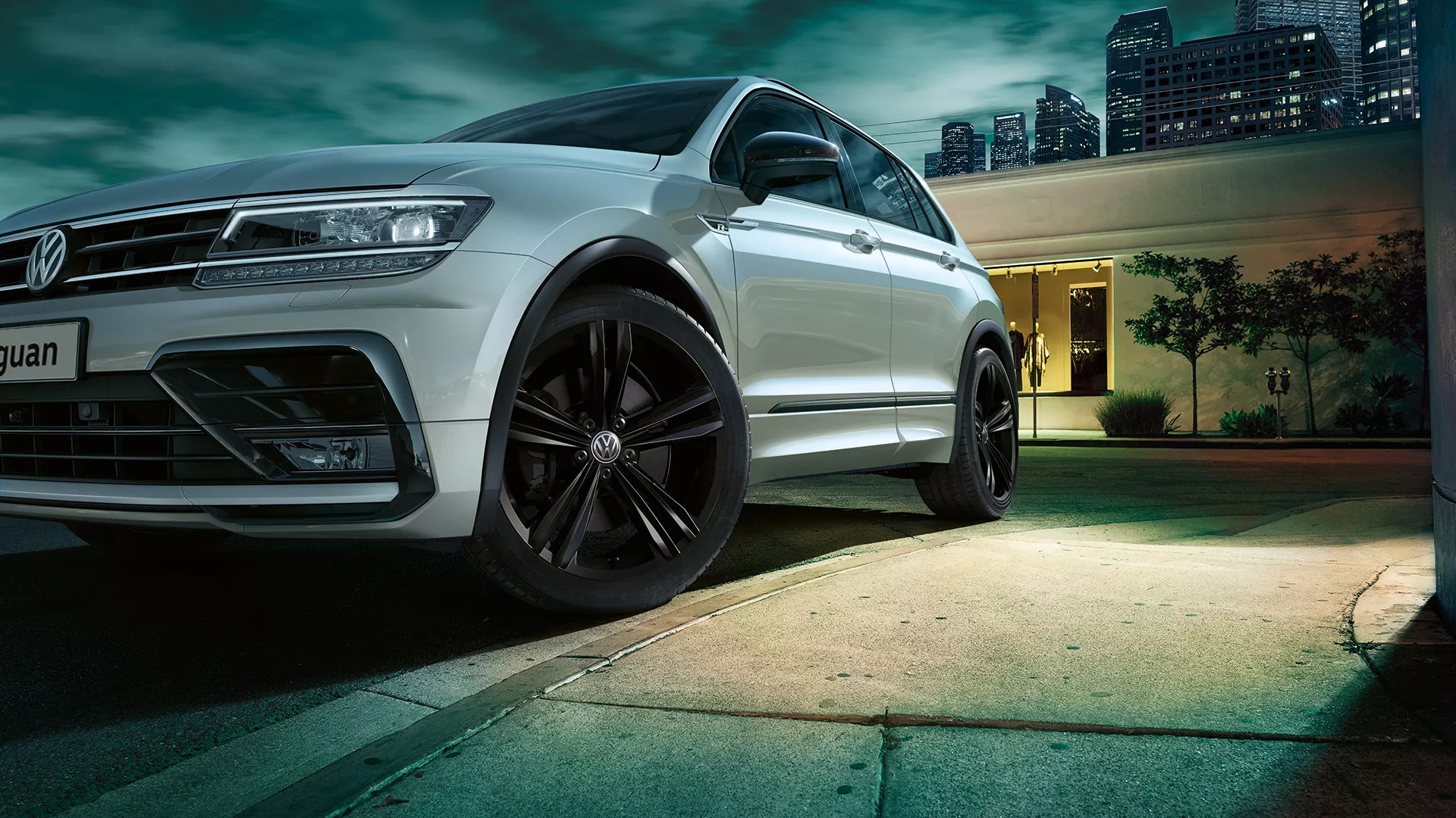 Volkswagen Tiguan Dettaglio Cerchio