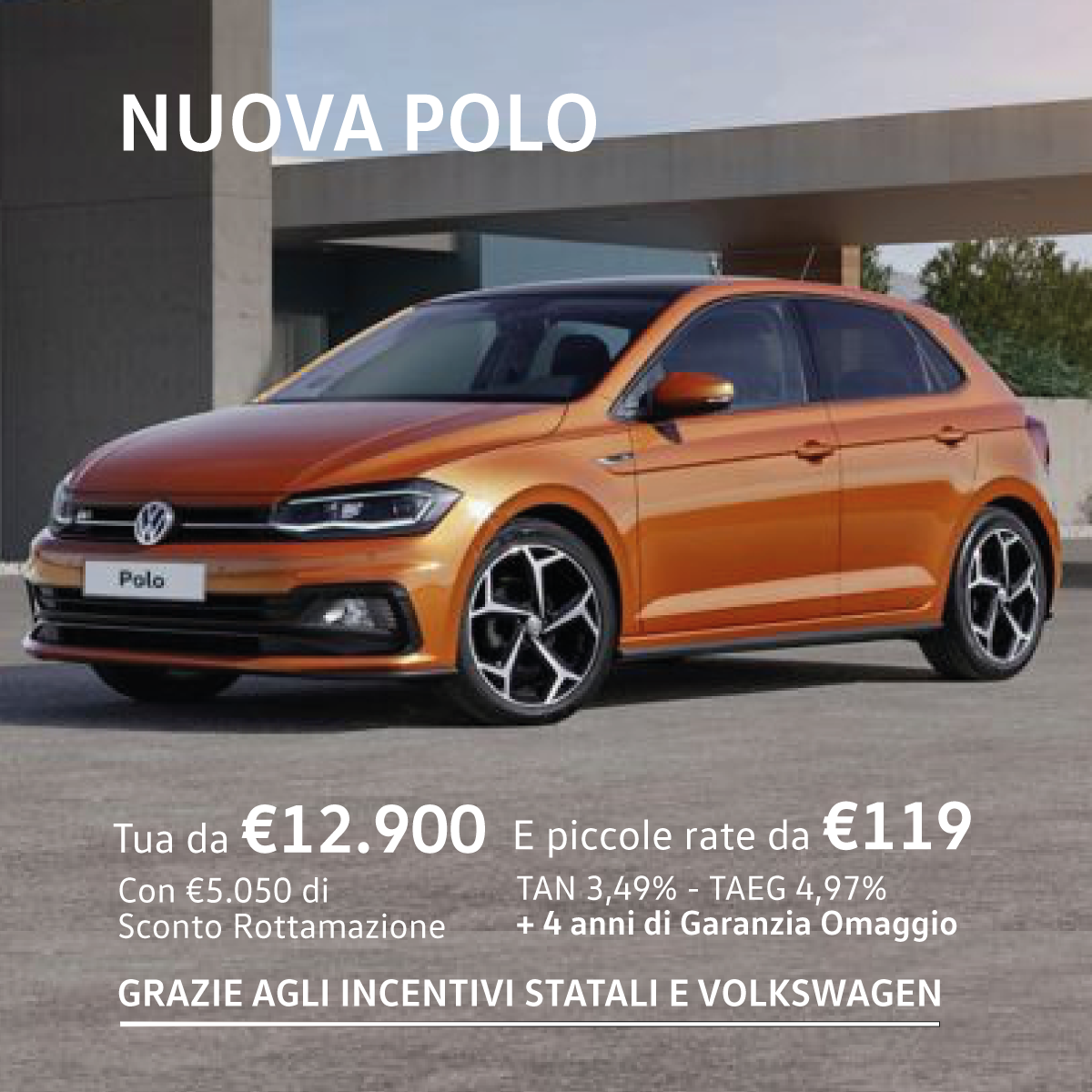 Polo1
