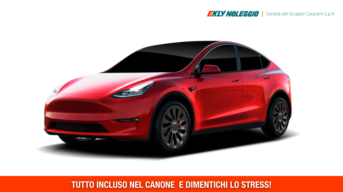 TESLA MODEL Y 75 Kwh Dual Motor Long Range 4wd Aut.
