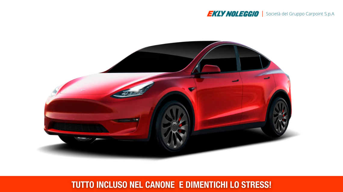 TESLA MODEL Y 50 Kwh Rwd Aut. FP