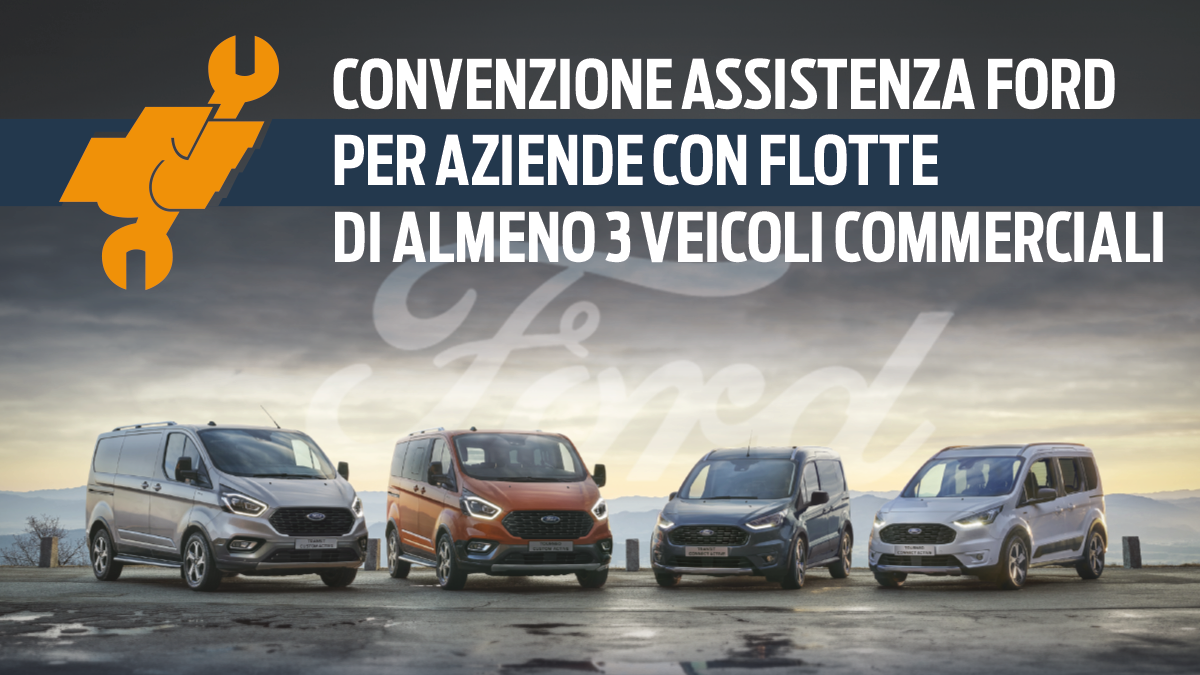 Convenzione Flotte D3