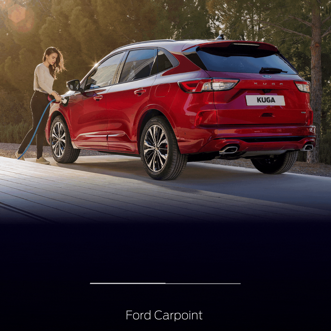GAMMA FORD 3