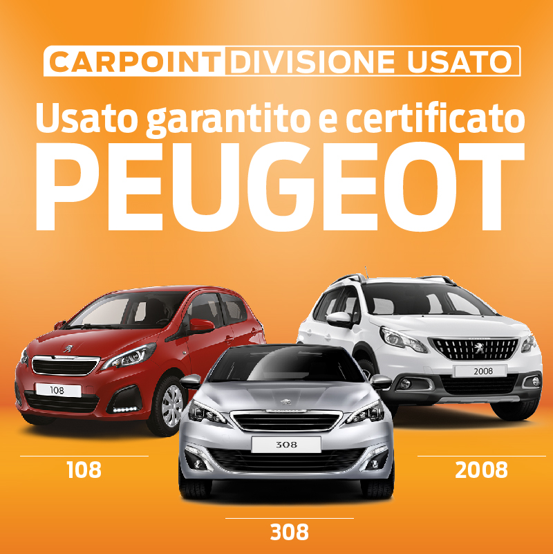PEUGEOT 800X800