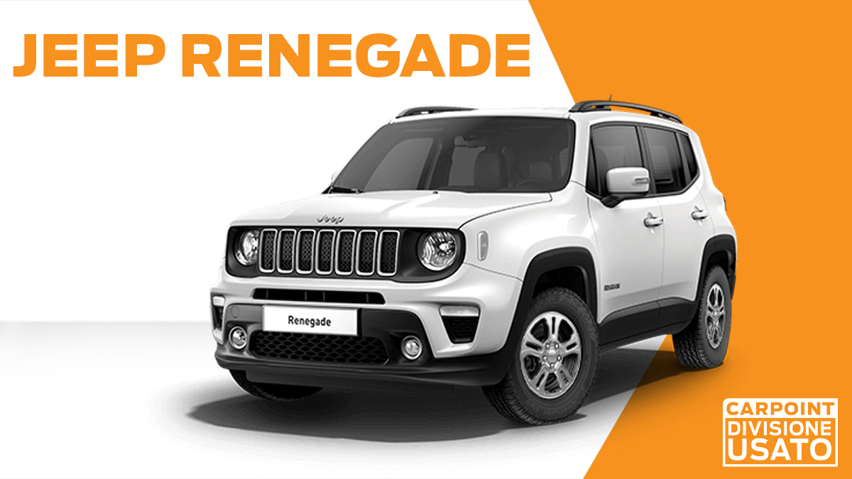 BANNER RENEGADE