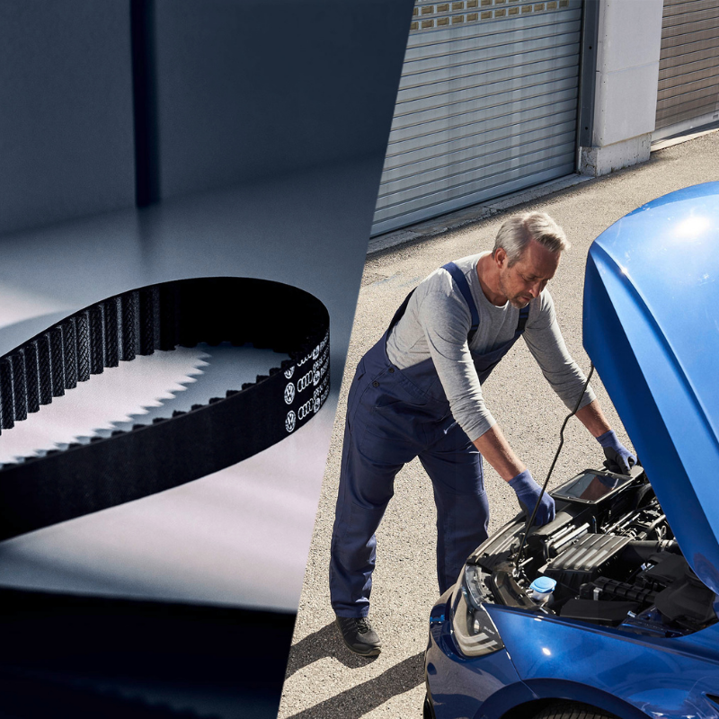 VW Service Kitcinghia