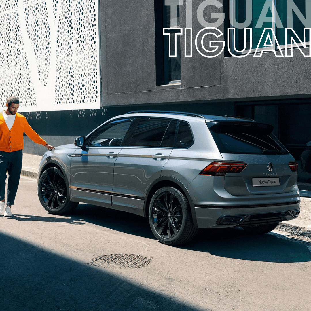 GAMMA VW 2