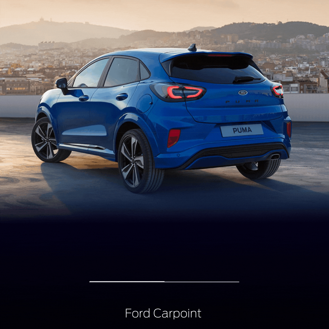 GAMMA FORD 2