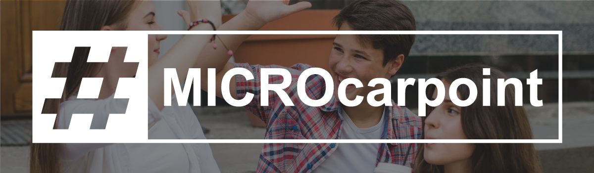 Noleggio Lungo Termine Microcar Carpoint Header Desktop Sicurezza