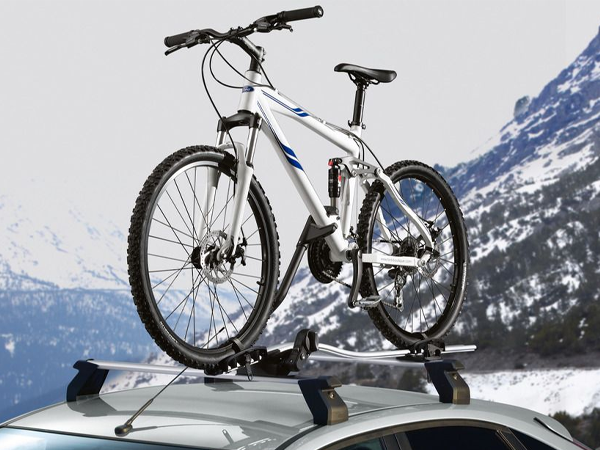 Portabici