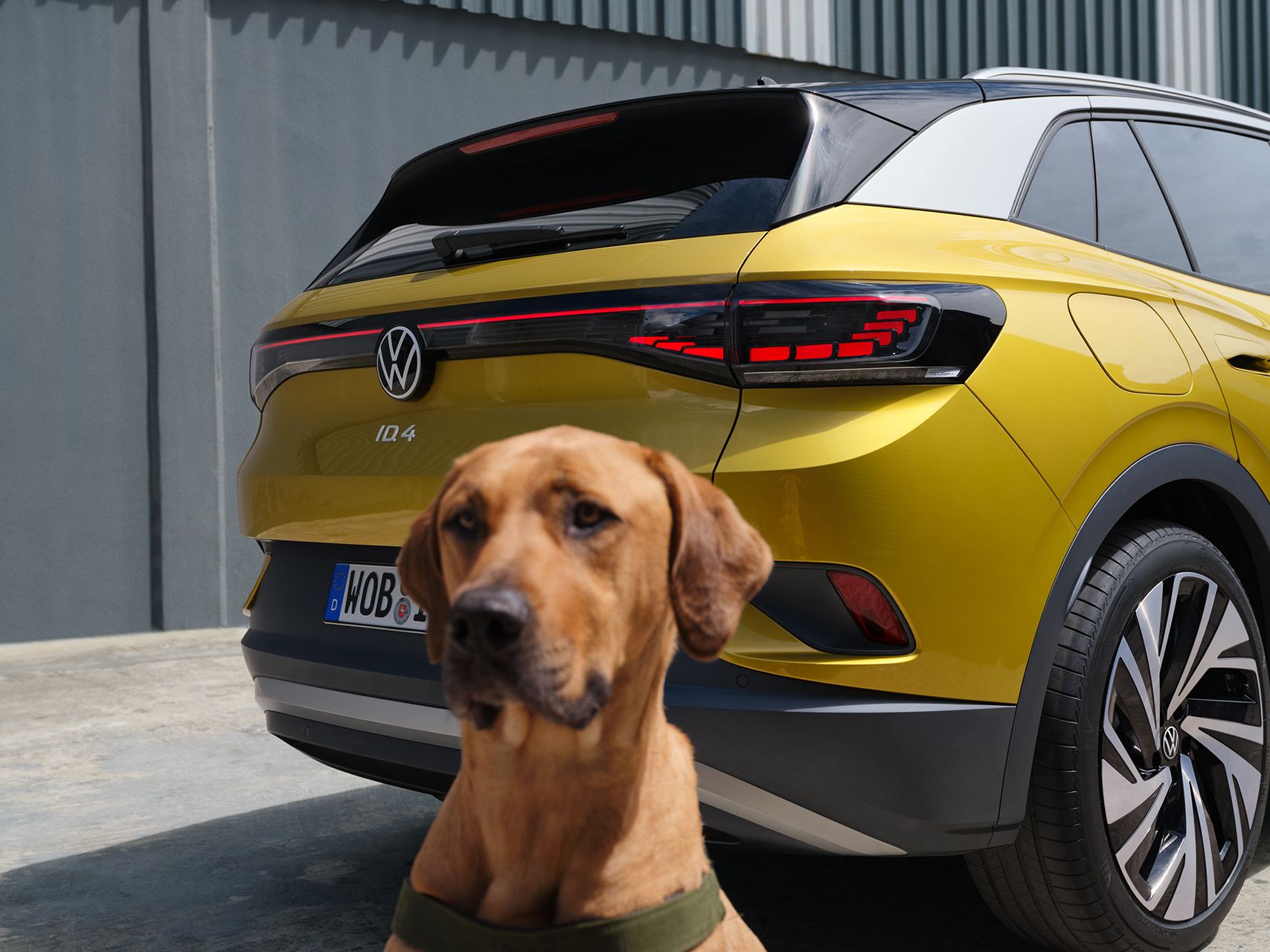 IC0054 Srgb Dog In Front Of Car 3 2 F Cc 1