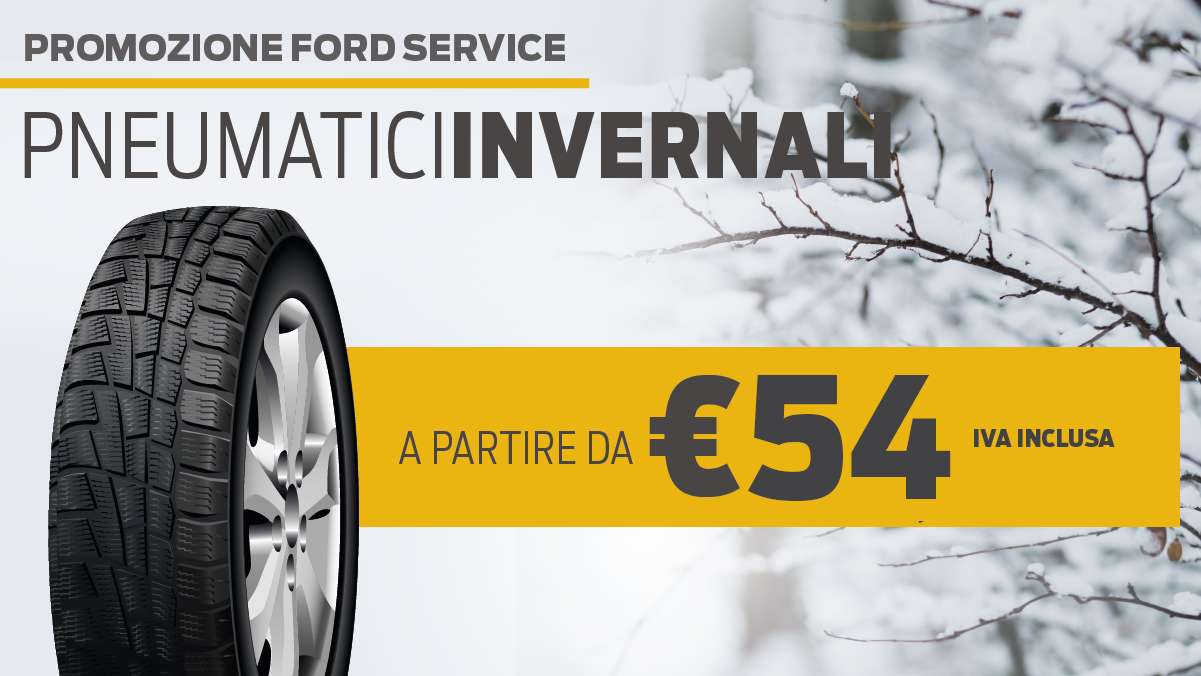 Pneumatici Invernali D