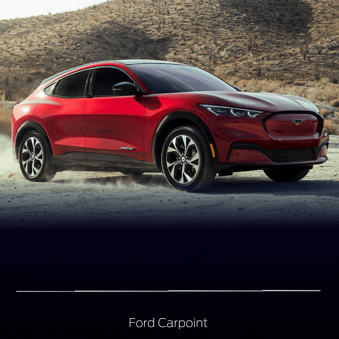 GAMMA FORD 6